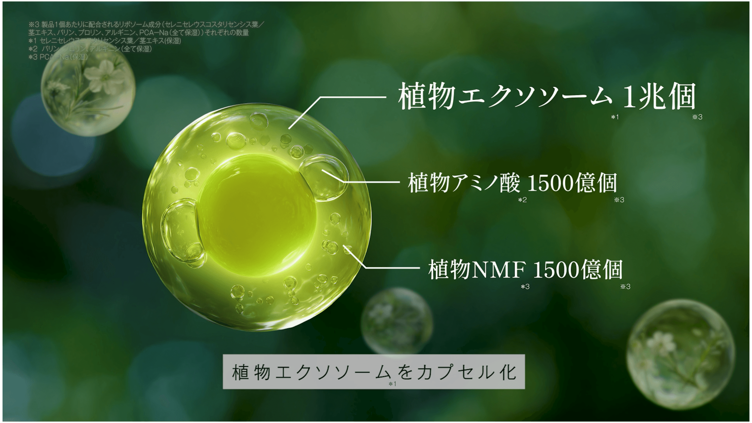 【植物ジェルシャンプー「muku+」誕生】 WebCM Part.1