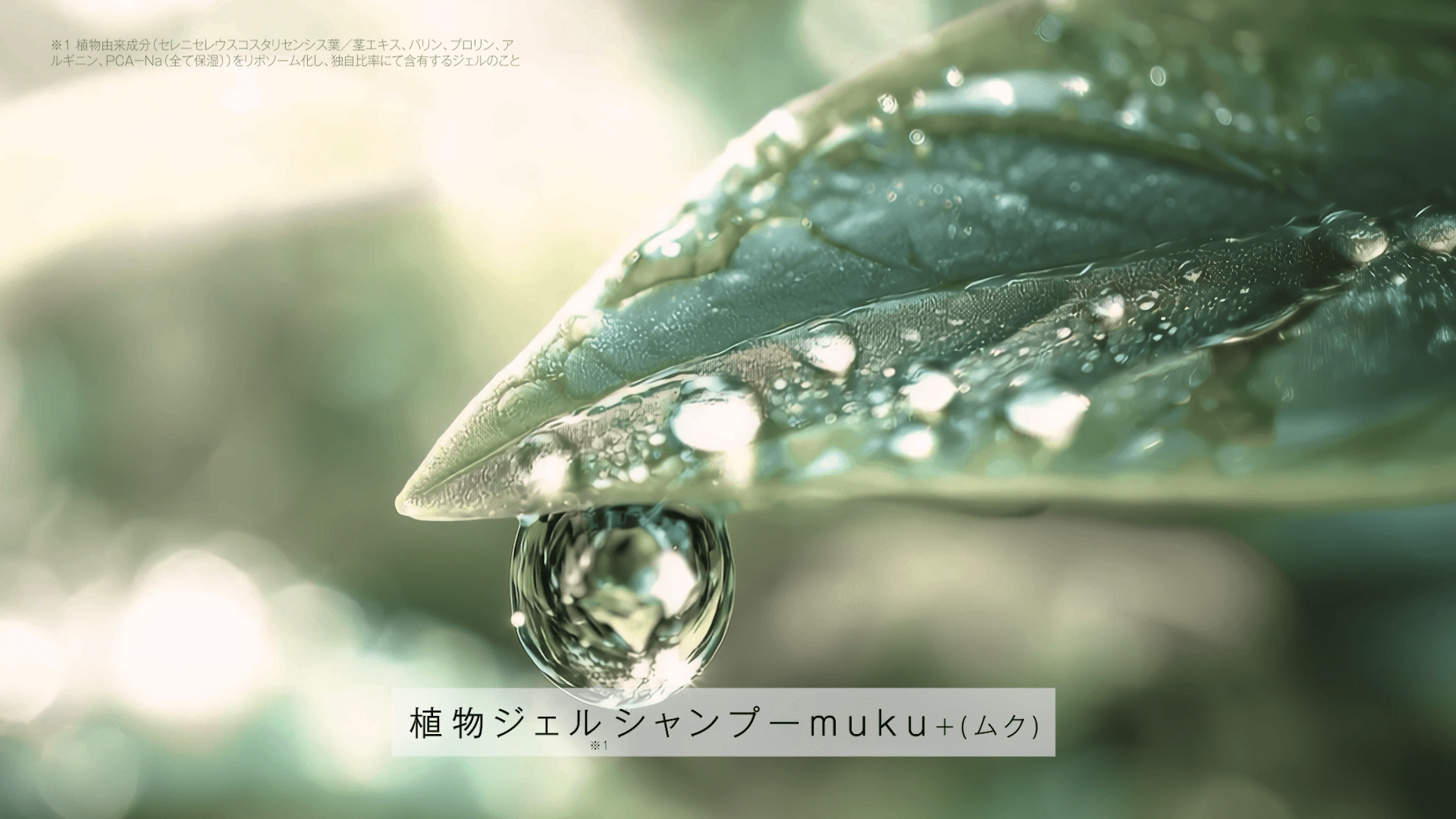 【植物ジェルシャンプー「muku+」誕生】 WebCM Part.1