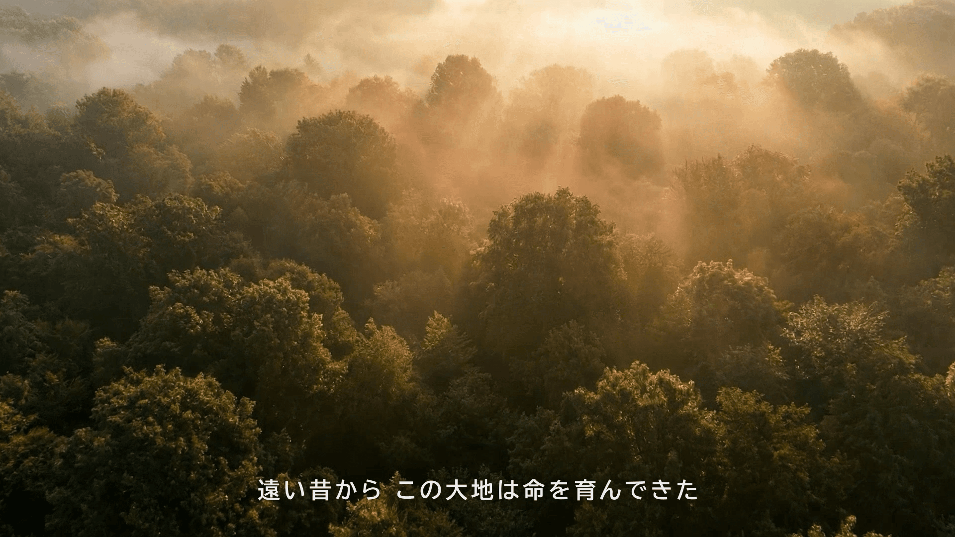 【インテグリカルチャー】 WebCM 企業ブランディング動画 Part.1