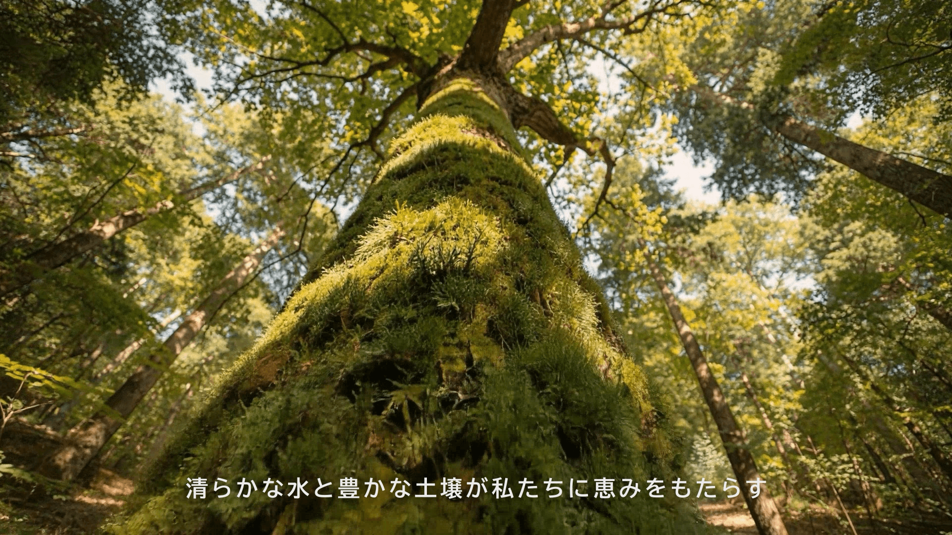 【インテグリカルチャー】 WebCM 企業ブランディング動画 Part.1