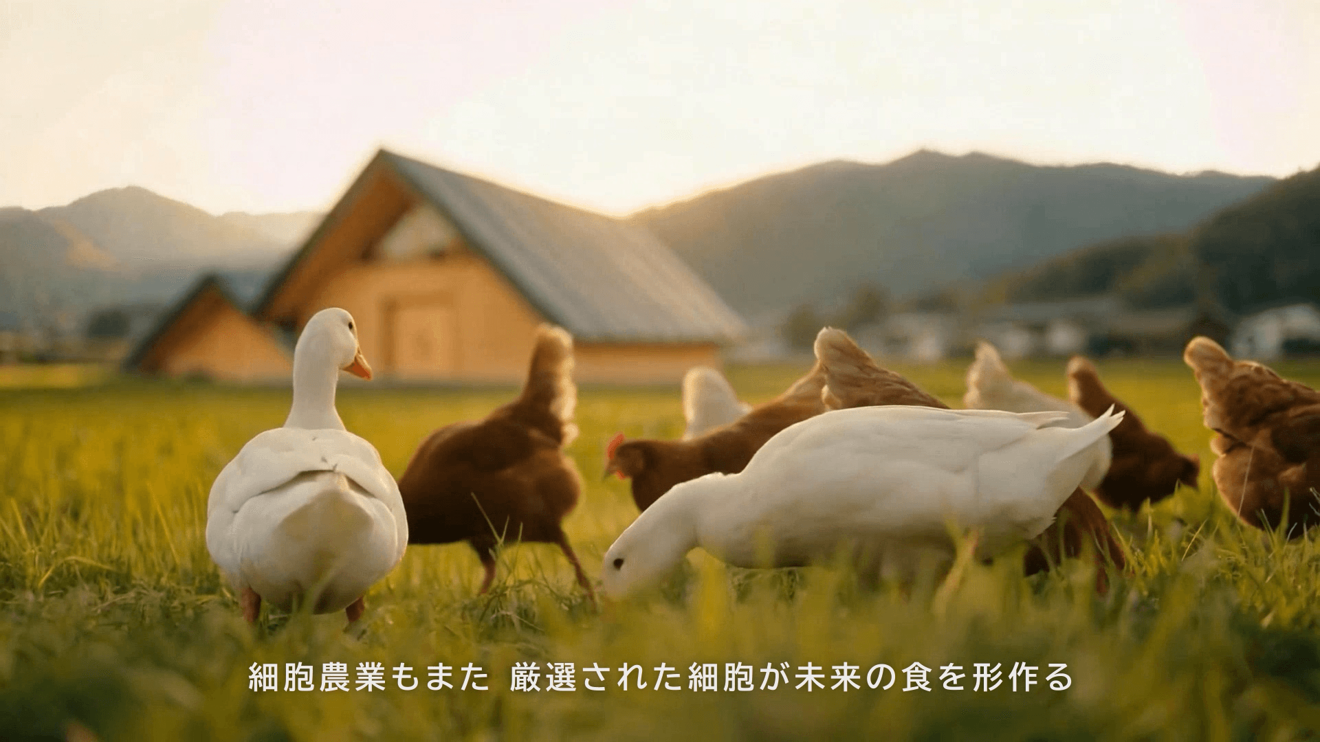 【インテグリカルチャー】 WebCM 企業ブランディング動画 Part.2